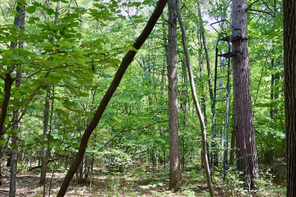 2074 W Olson Road Lee Township, MI 48657