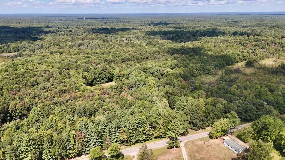 2074 W Olson Road Lee Township, MI 48657