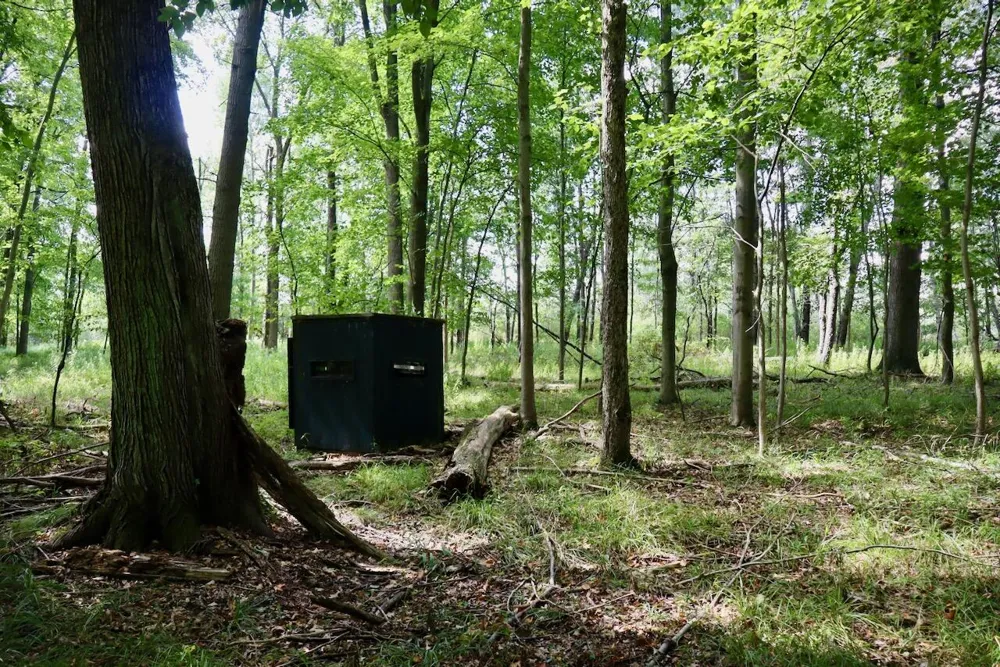 2074 W Olson Road Lee Township, MI 48657