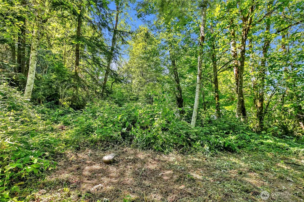 28215 SE 216th Street Maple Valley, WA 98038