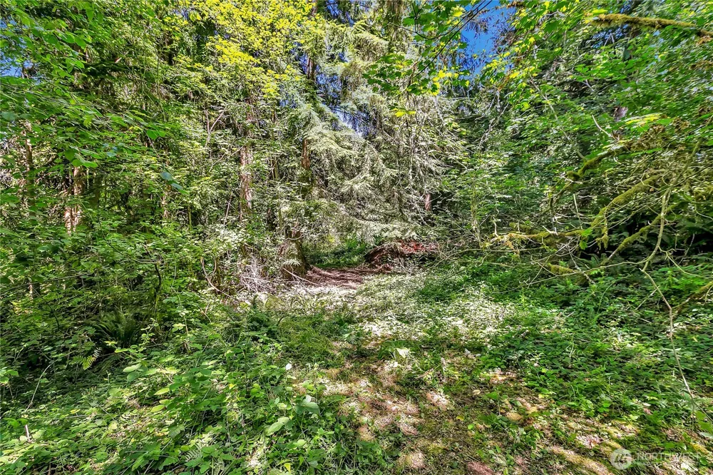 28215 SE 216th Street Maple Valley, WA 98038