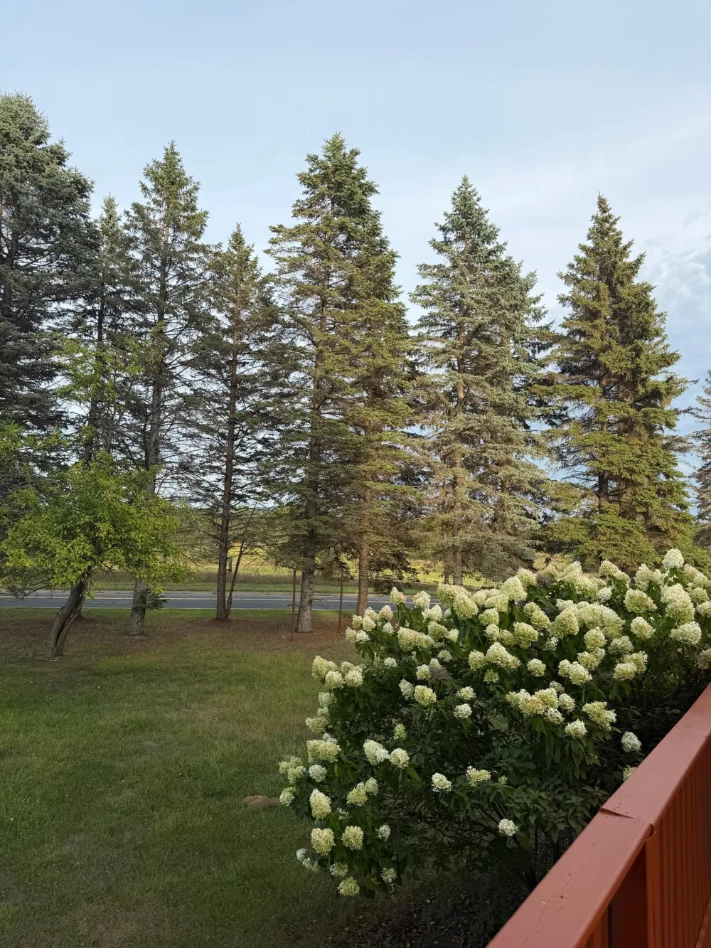 31 Old Constance Boulevard NW Andover, MN 55304