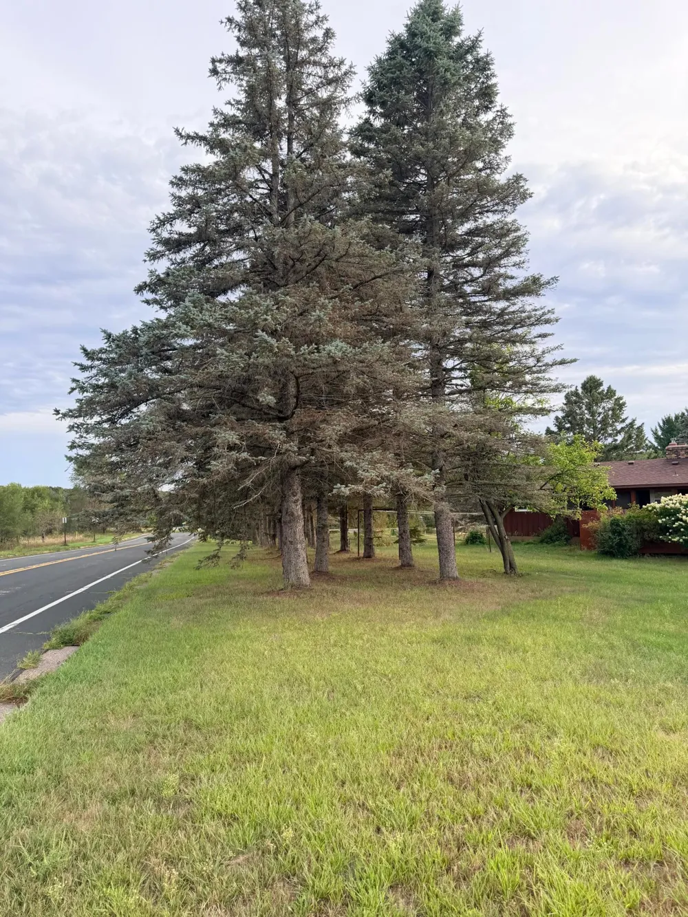 31 Old Constance Boulevard NW Andover, MN 55304