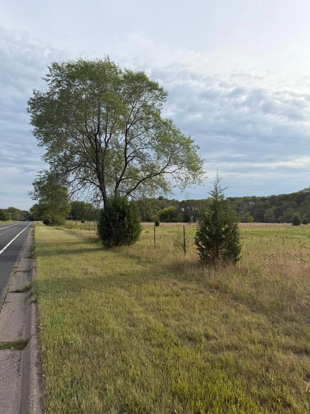 31 Old Constance Boulevard NW Andover, MN 55304