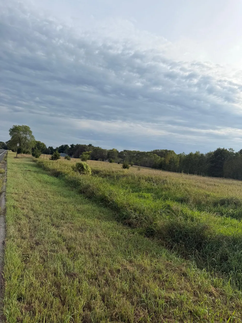31 Old Constance Boulevard NW Andover, MN 55304