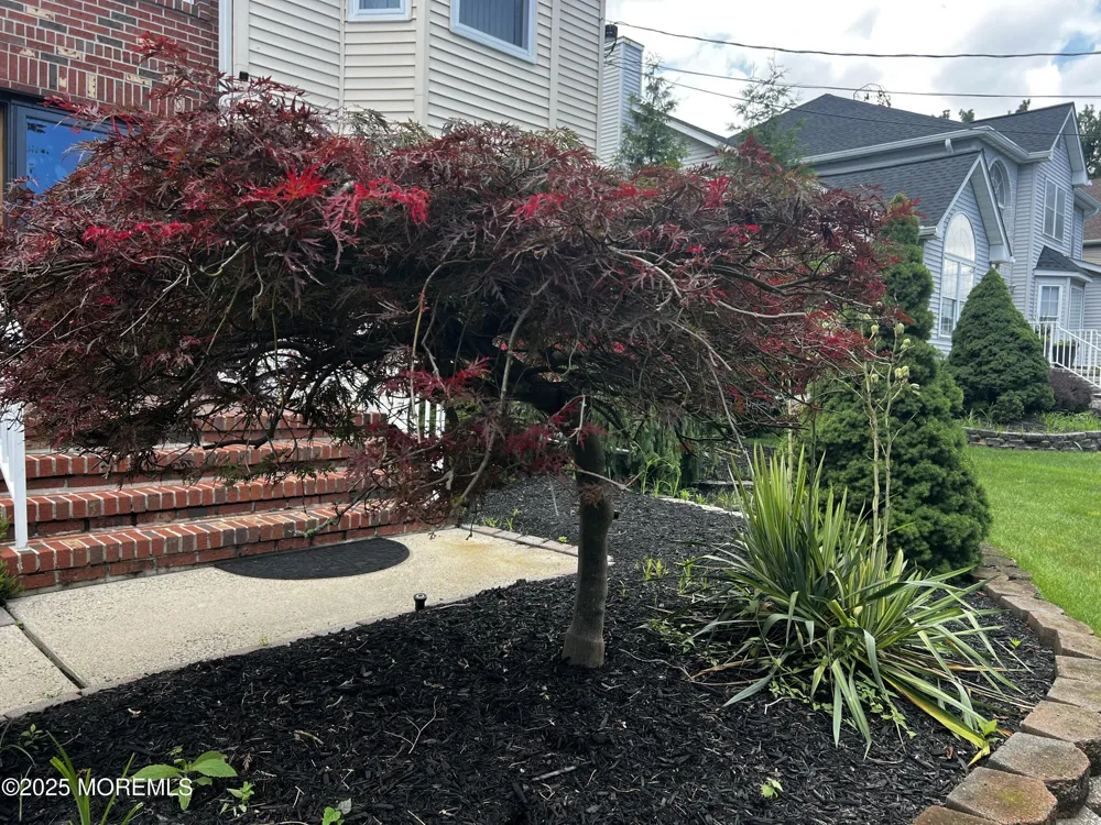 1624 Melville Street Oakhurst, NJ 07755