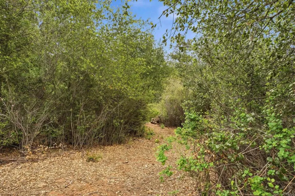 5867 Forest Meadow Road Julian, CA 92036
