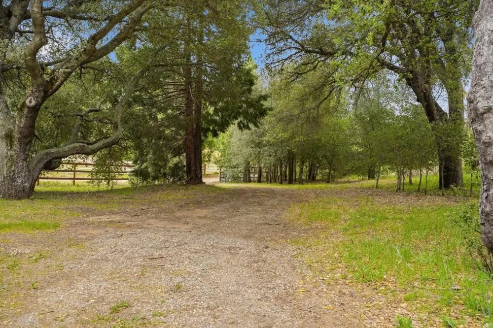5867 Forest Meadow Road Julian, CA 92036