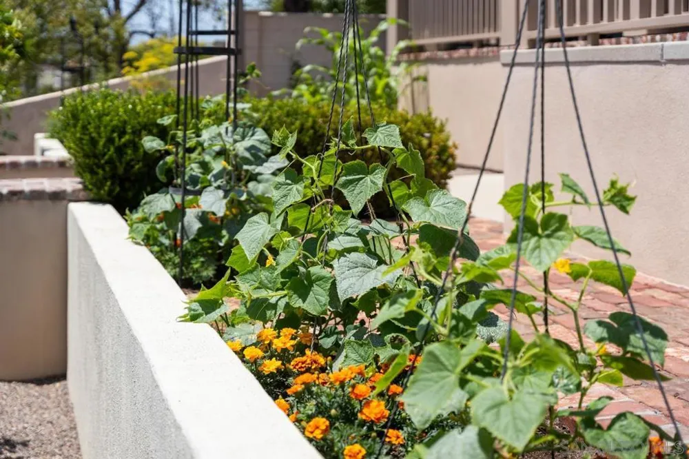 3929 Alameda San Diego, CA 92103