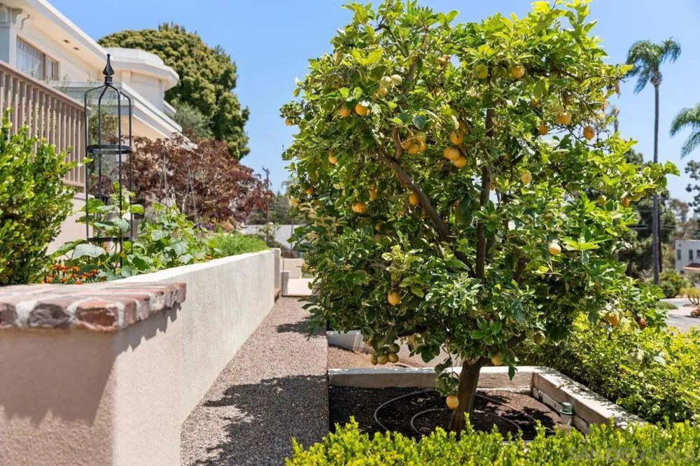 3929 Alameda San Diego, CA 92103