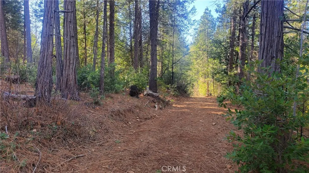 86 Coutolenc Road Magalia, CA 95954