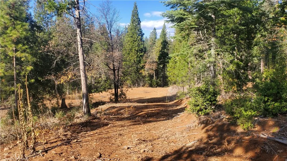 86 Coutolenc Road Magalia, CA 95954