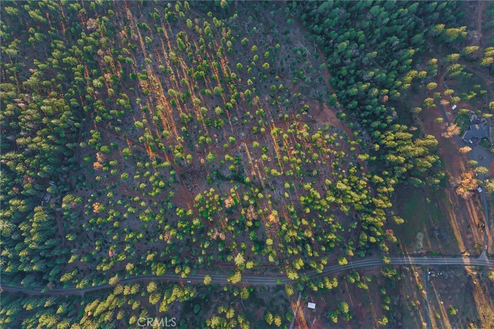86 Coutolenc Road Magalia, CA 95954