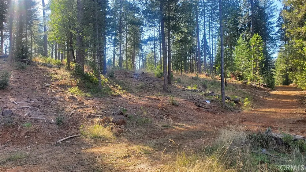 86 Coutolenc Road Magalia, CA 95954