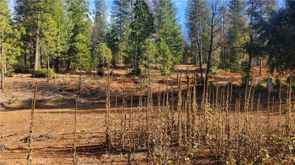 86 Coutolenc Road Magalia, CA 95954