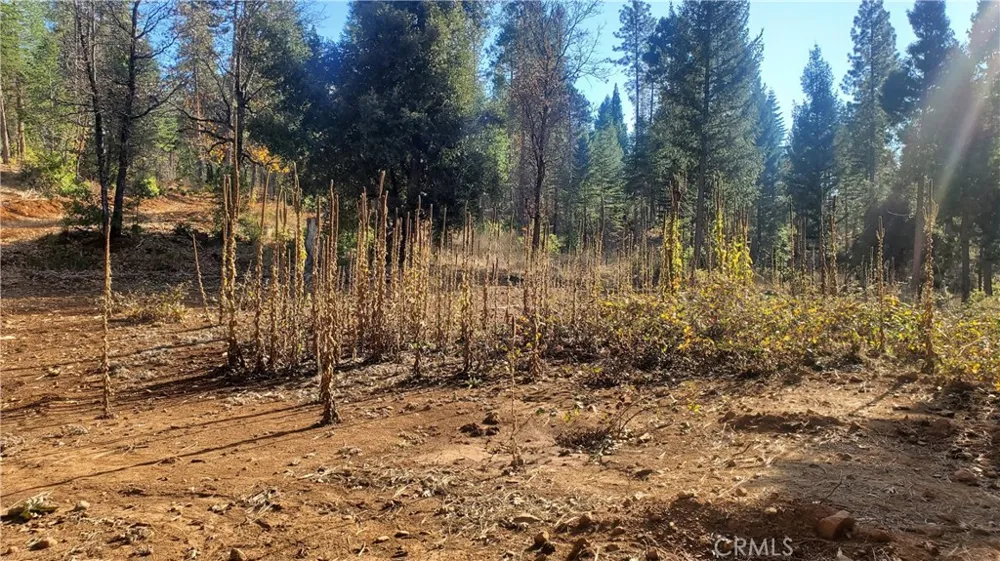 86 Coutolenc Road Magalia, CA 95954