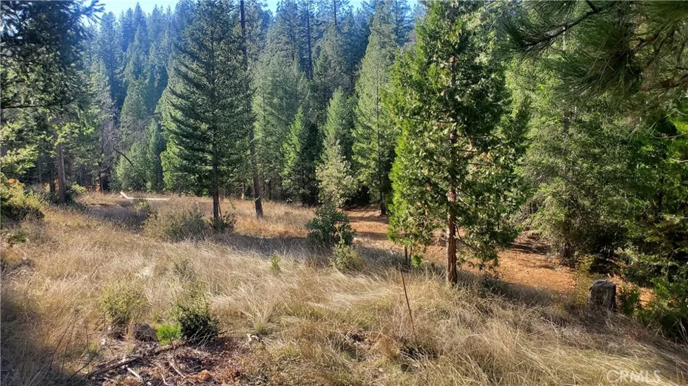 86 Coutolenc Road Magalia, CA 95954