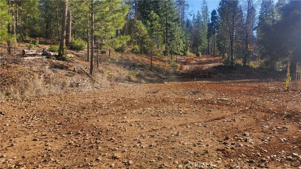 86 Coutolenc Road Magalia, CA 95954
