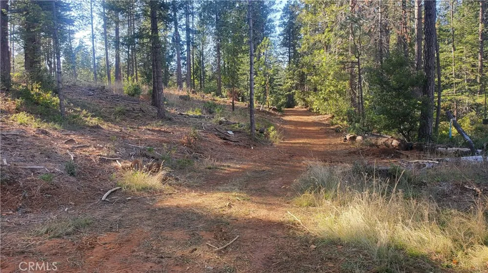 86 Coutolenc Road Magalia, CA 95954
