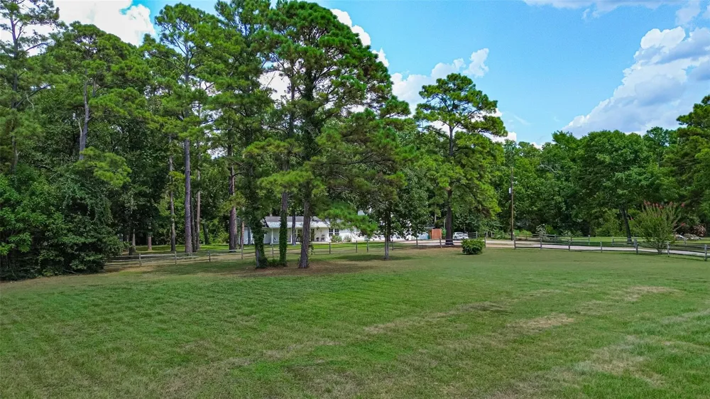11580 Forest Trails Drive Willis, TX 77318