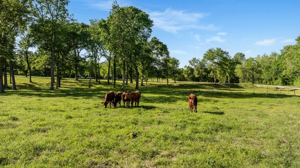 2355 Jackson League Circle Brenham, TX 77833