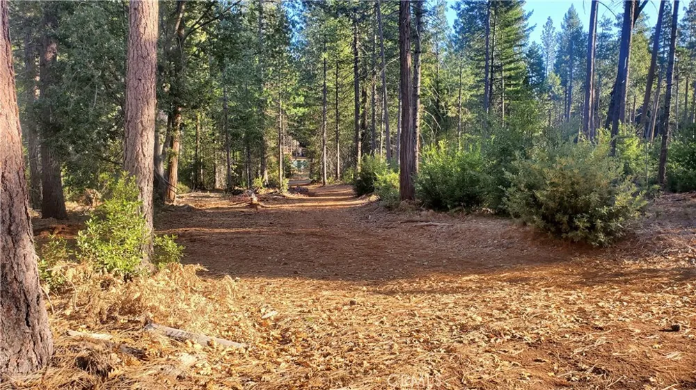 87 Coutolenc Road Magalia, CA 95954