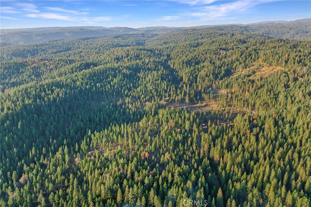 87 Coutolenc Road Magalia, CA 95954