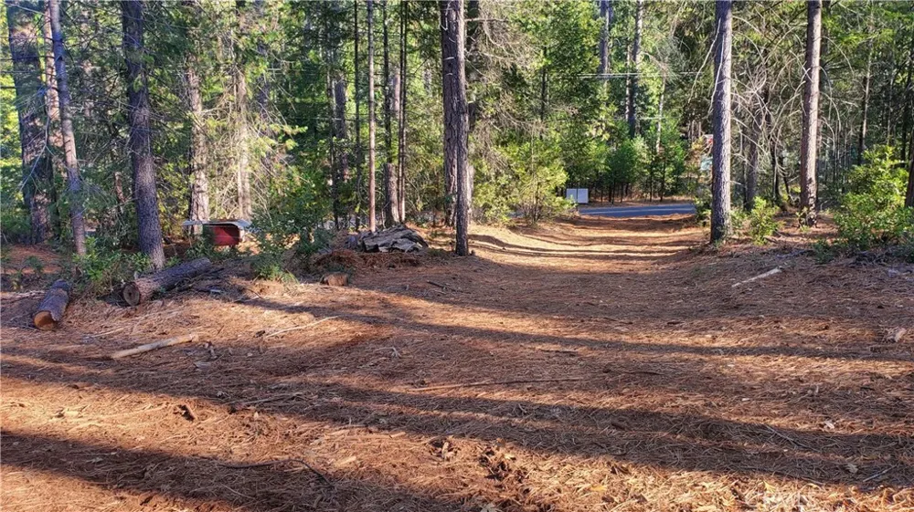 87 Coutolenc Road Magalia, CA 95954