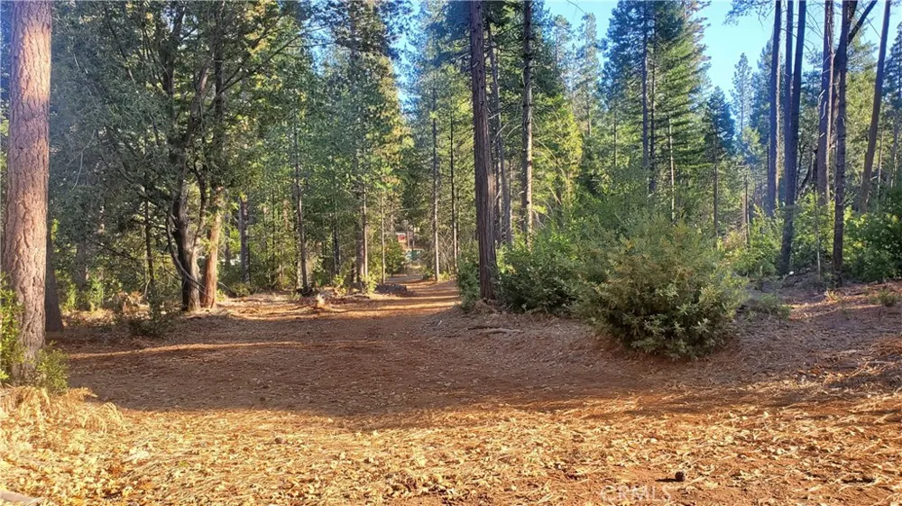87 Coutolenc Road Magalia, CA 95954