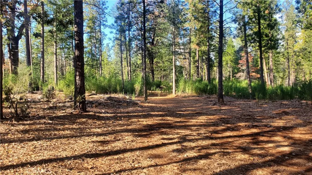 87 Coutolenc Road Magalia, CA 95954