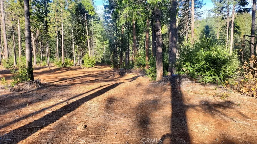 87 Coutolenc Road Magalia, CA 95954