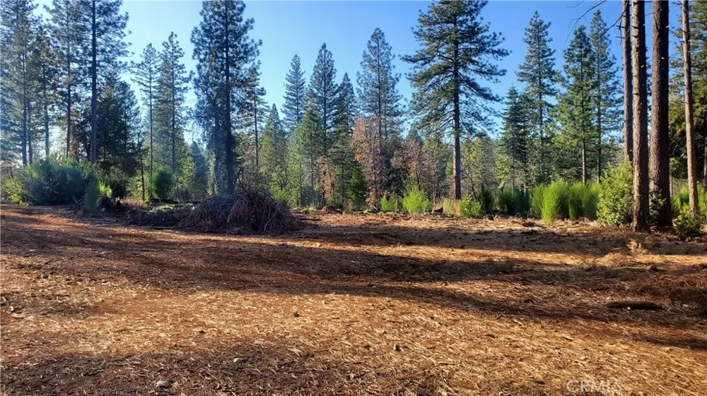 87 Coutolenc Road Magalia, CA 95954
