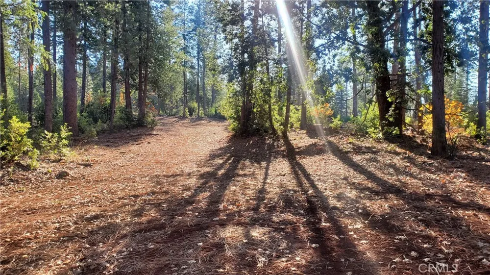 87 Coutolenc Road Magalia, CA 95954