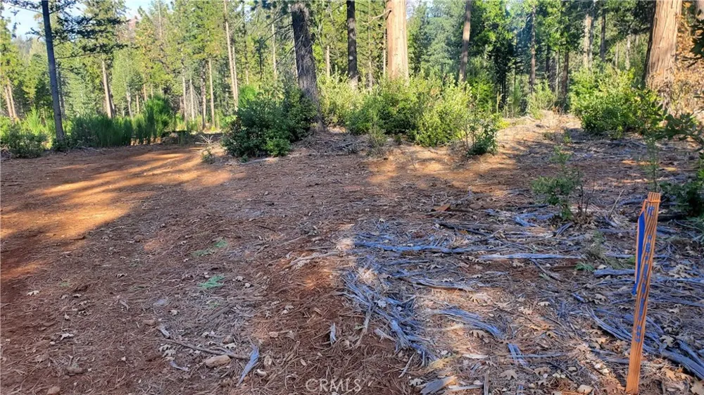 87 Coutolenc Road Magalia, CA 95954