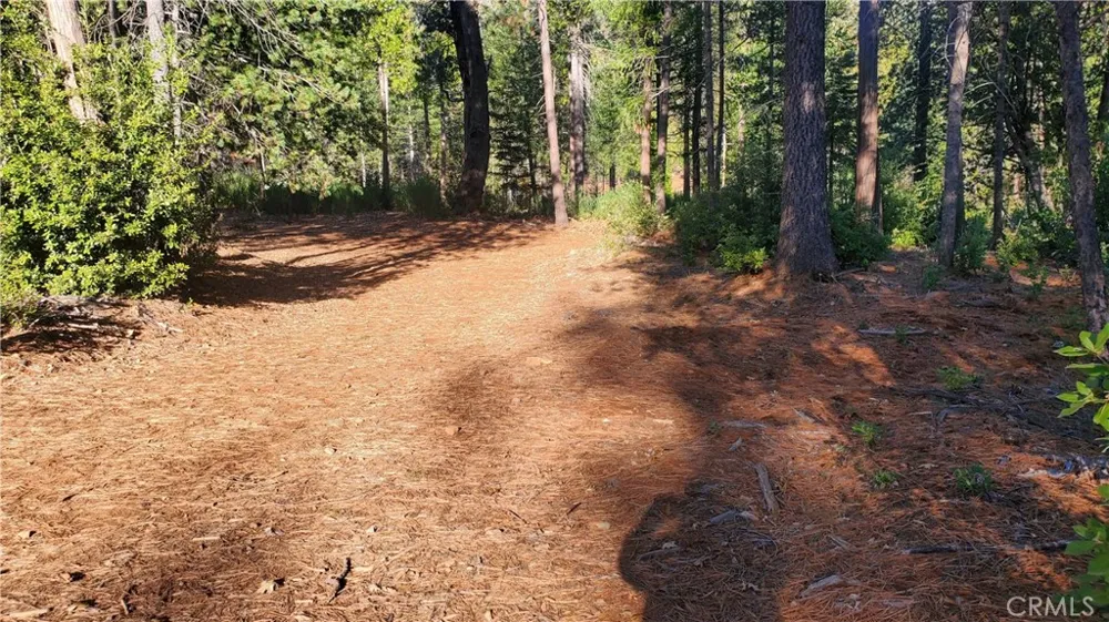 87 Coutolenc Road Magalia, CA 95954
