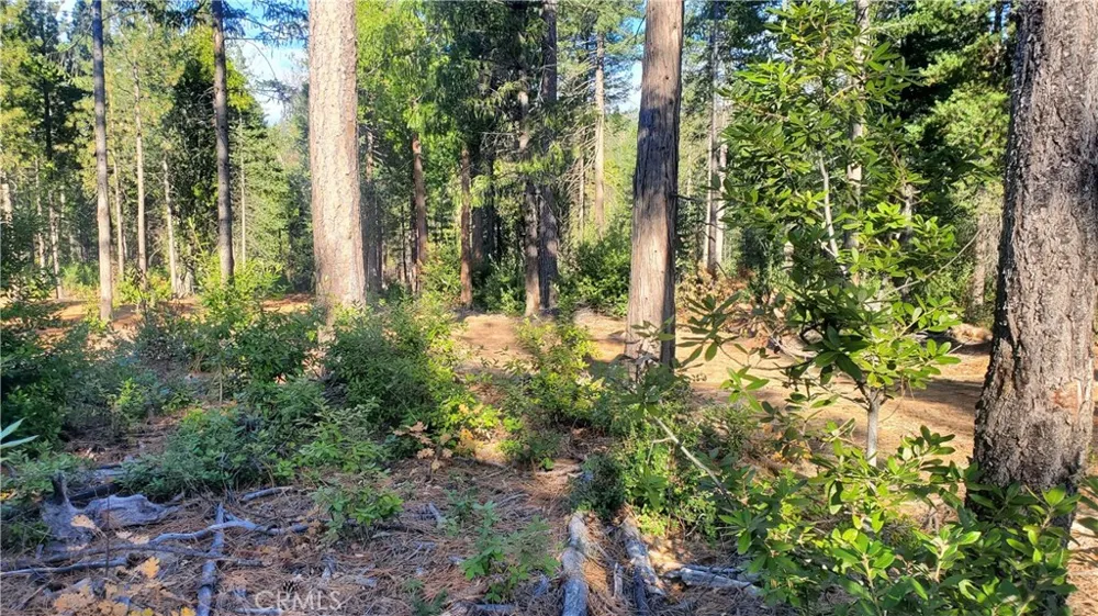 87 Coutolenc Road Magalia, CA 95954