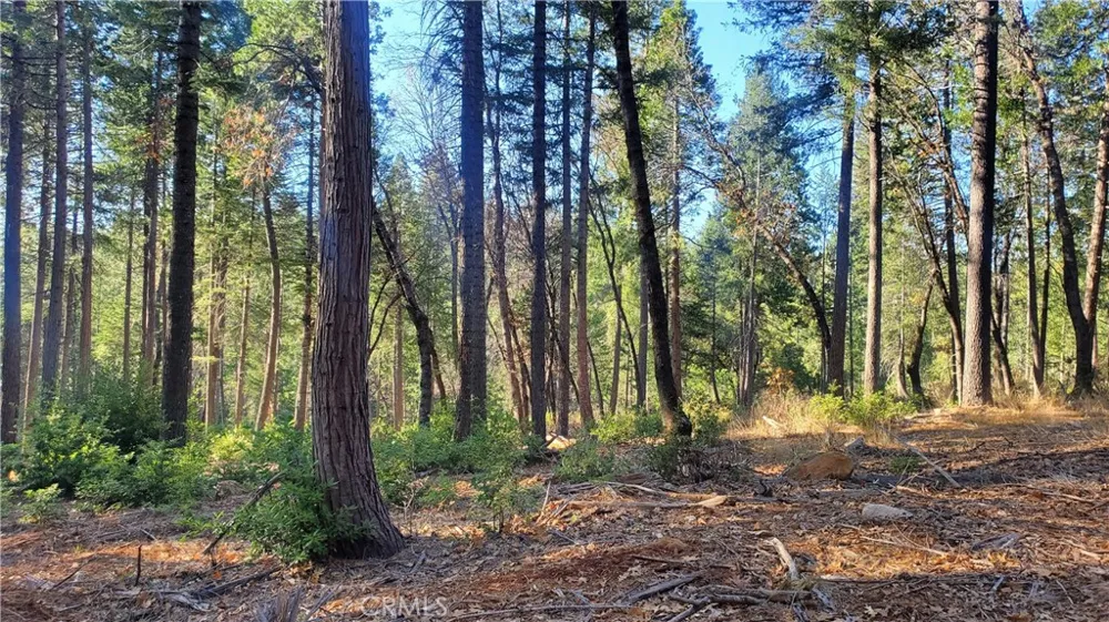 88 Coutolenc Magalia, CA 95954