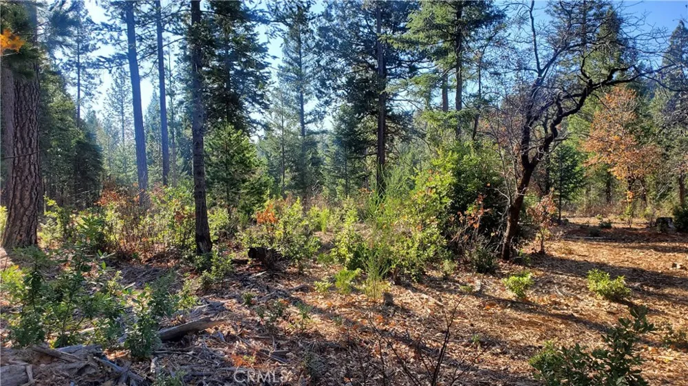 88 Coutolenc Magalia, CA 95954