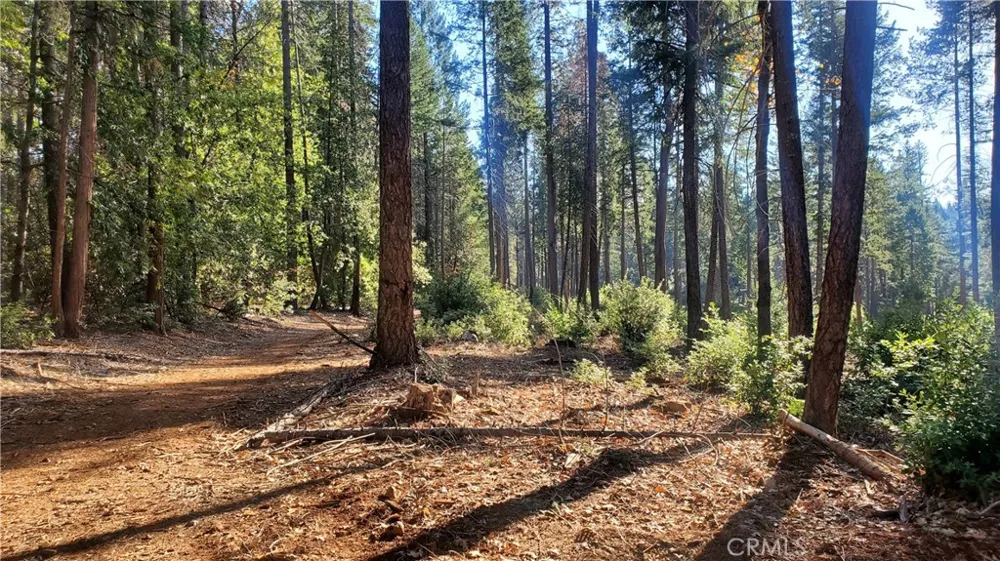 88 Coutolenc Magalia, CA 95954