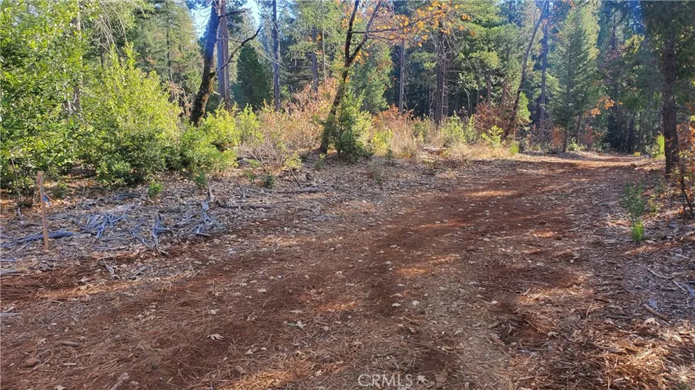 88 Coutolenc Magalia, CA 95954