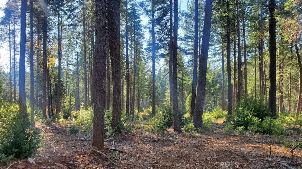 88 Coutolenc Magalia, CA 95954