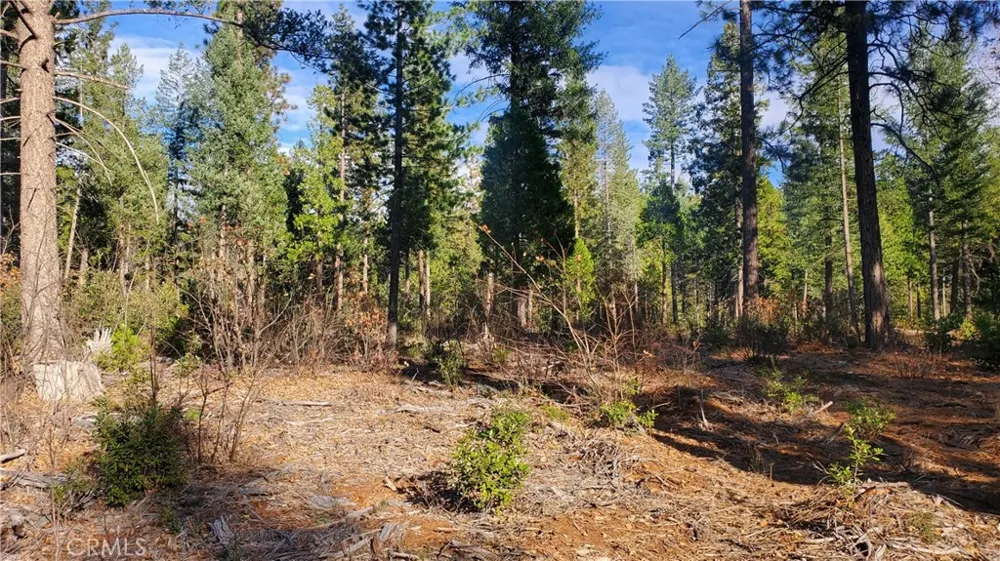 88 Coutolenc Magalia, CA 95954