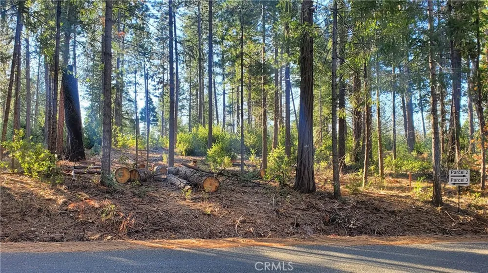 88 Coutolenc Magalia, CA 95954