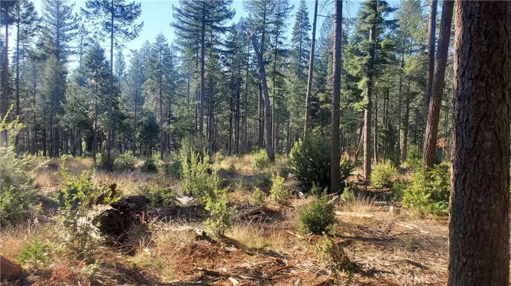88 Coutolenc Magalia, CA 95954
