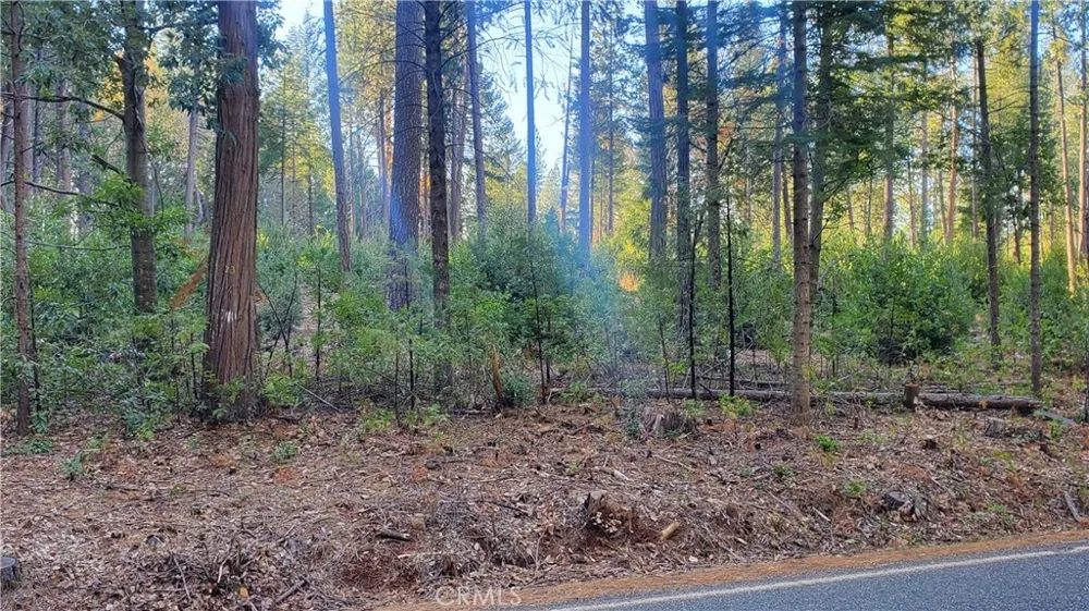 88 Coutolenc Magalia, CA 95954
