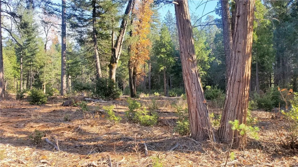 88 Coutolenc Magalia, CA 95954