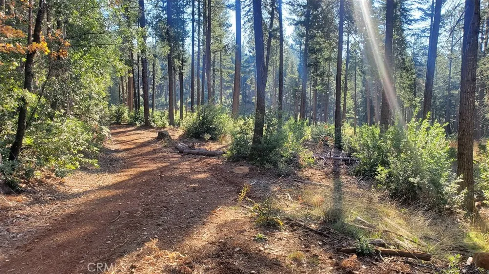 88 Coutolenc Magalia, CA 95954