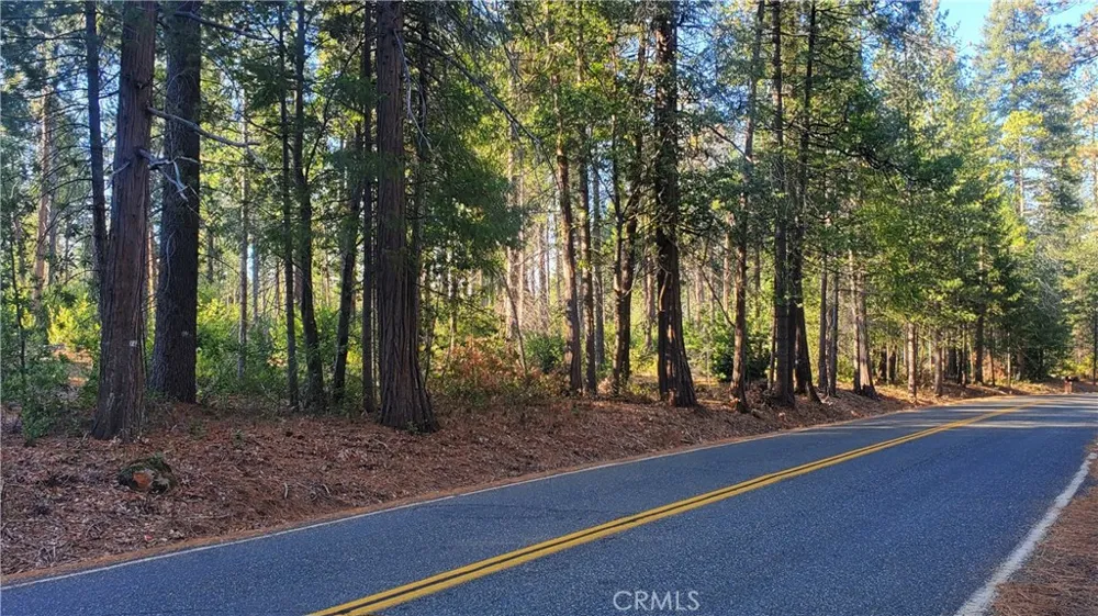 88 Coutolenc Magalia, CA 95954