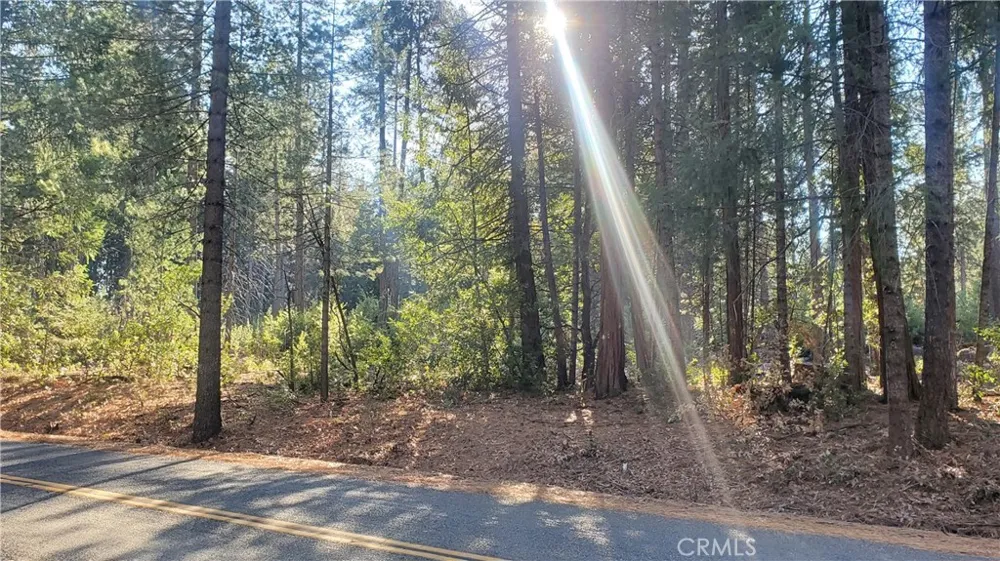 88 Coutolenc Magalia, CA 95954