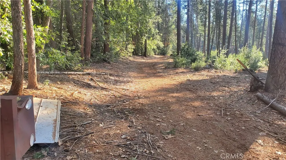 88 Coutolenc Magalia, CA 95954